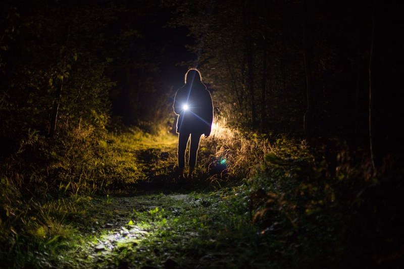 Desert Trail Handheld Torch